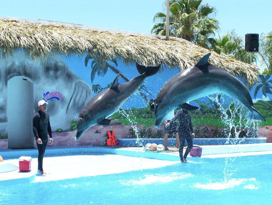 Hotel Splash Inn Silao Exterior foto